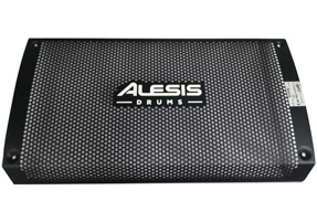 Professional speaker grille